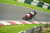 cadwell-no-limits-trackday;cadwell-park;cadwell-park-photographs;cadwell-trackday-photographs;enduro-digital-images;event-digital-images;eventdigitalimages;no-limits-trackdays;peter-wileman-photography;racing-digital-images;trackday-digital-images;trackday-photos